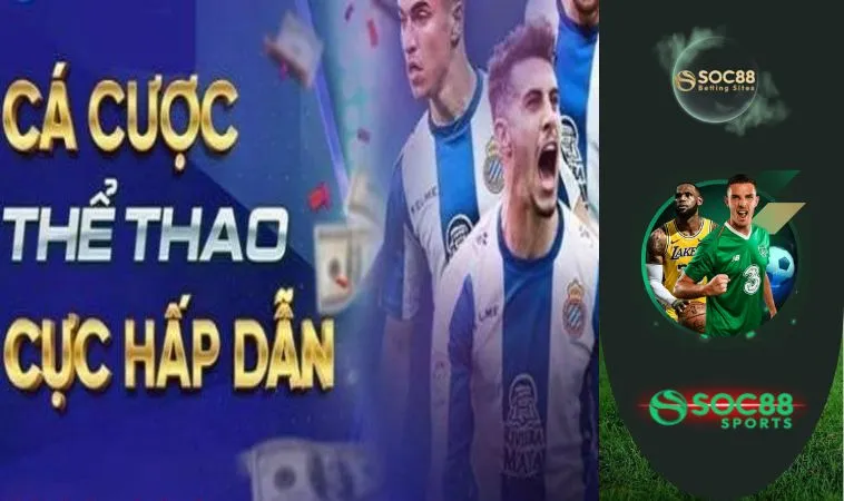 Các kinh nghiệm hay cho tân thủ mới cá cược thể thao